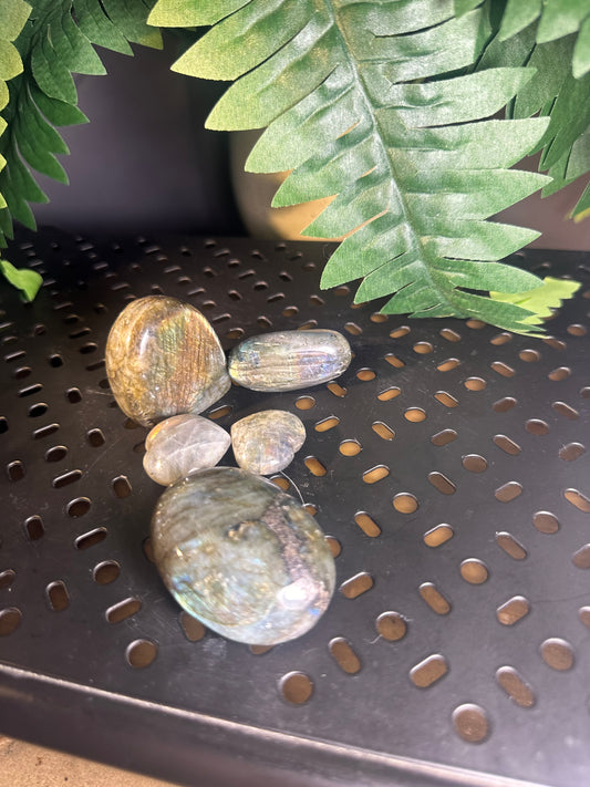 Labordorite 4pcs. Crystal Palmstone Pack