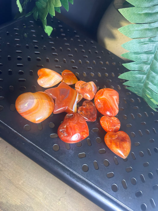 9pcs Carnelian Agate Crystal Palmstone Pack