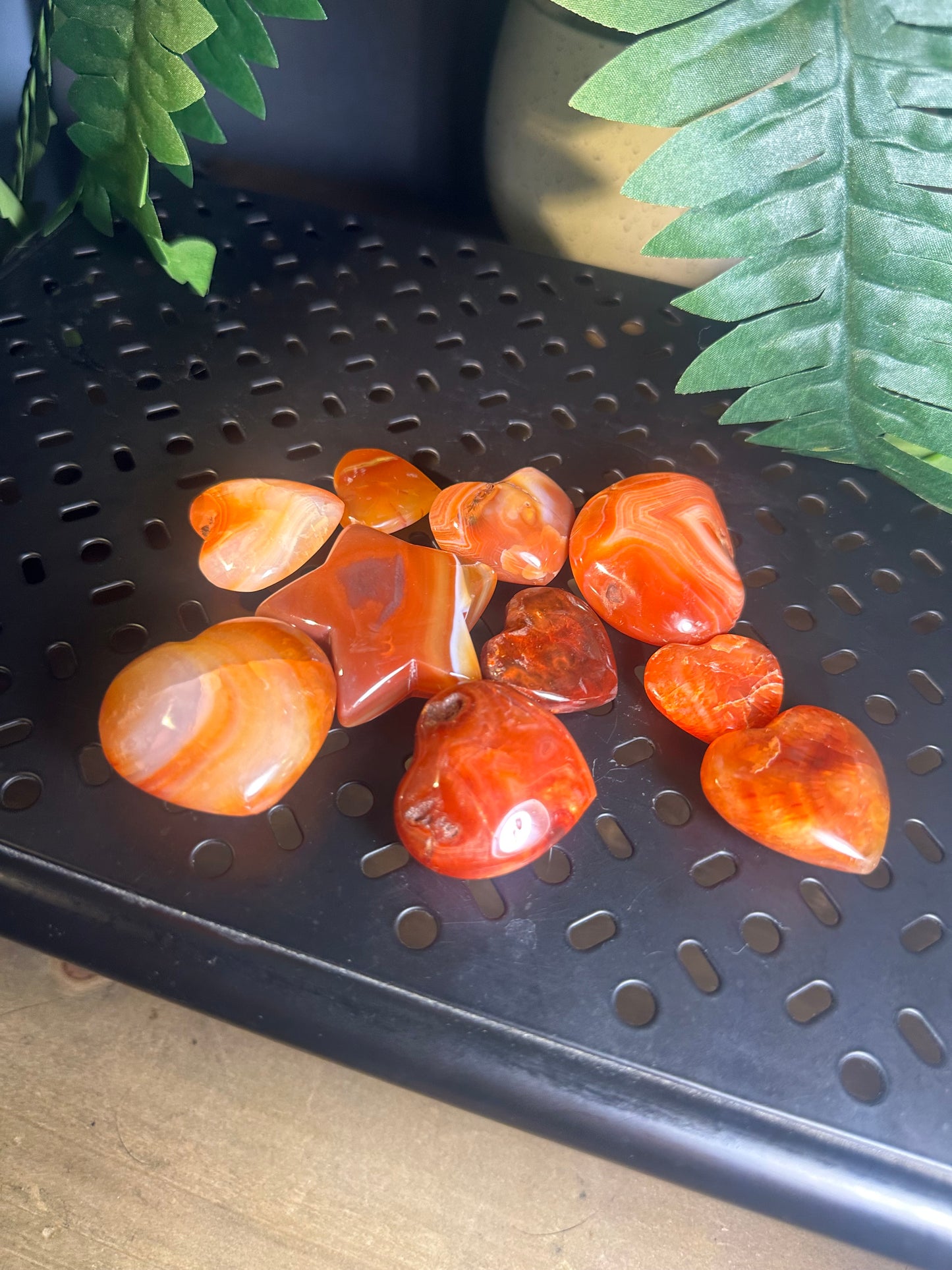 9pcs Carnelian Agate Crystal Palmstone Pack