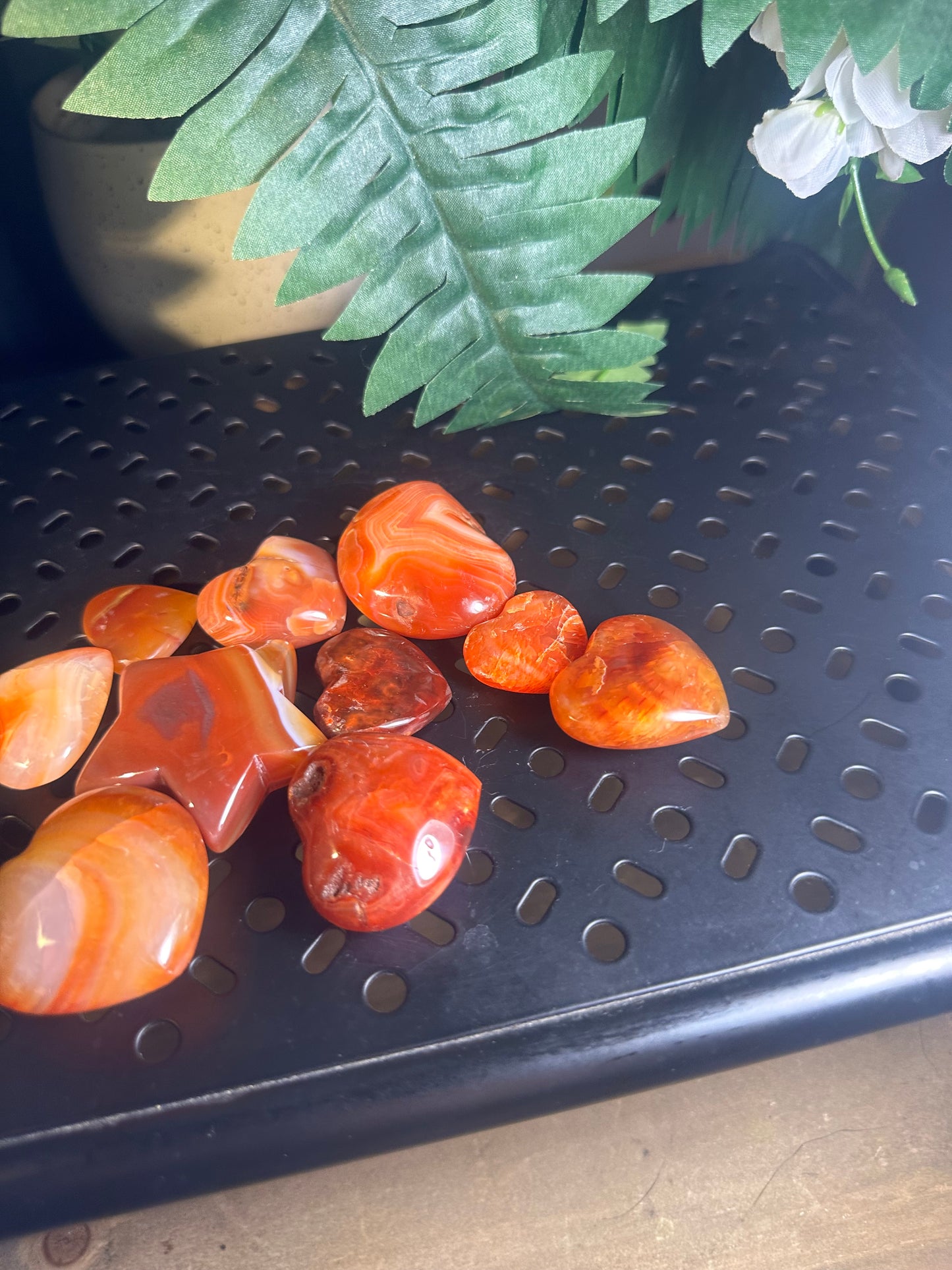 9pcs Carnelian Agate Crystal Palmstone Pack