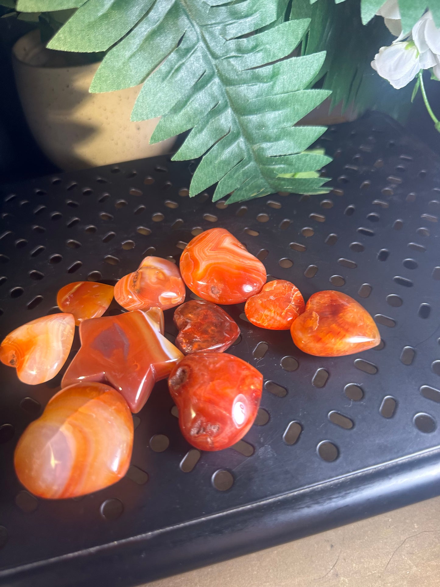 9pcs Carnelian Agate Crystal Palmstone Pack