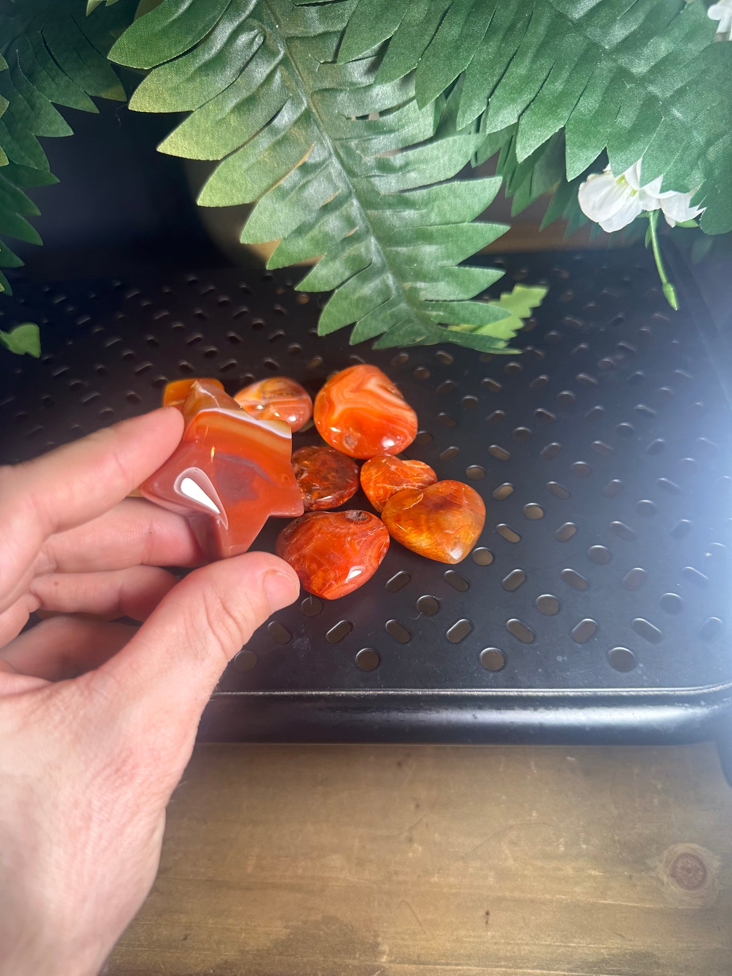 9pcs Carnelian Agate Crystal Palmstone Pack